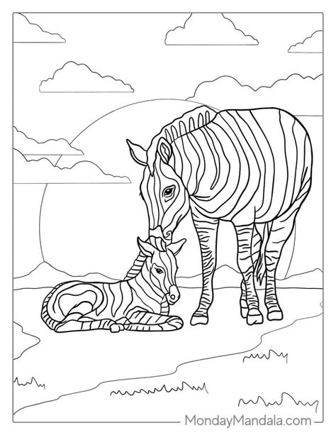 20 Zebra Coloring Pages Free Pdf Printables