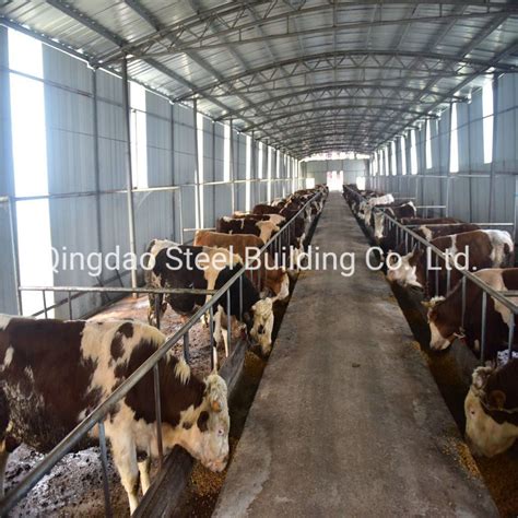 Low Cost Easy Install Prefabricated Light Steel Structure Building