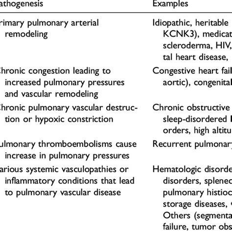 Pulmonary Hypertension Group Classifications According To The World