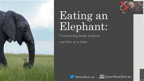 Eating An Elephant Conquering Big Projects One Bite At A Time Liam Elliott Youtube