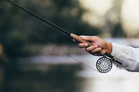 Best Weight Fly Rods Buyer S Guide Into Fly Fishing