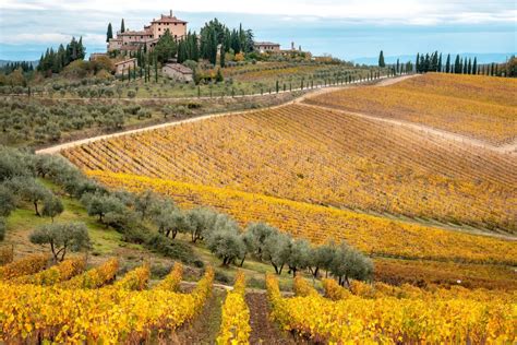 SiChef Sulle Orme Di Leonardo Da Vinci Trekking Con Pranzo O Cena