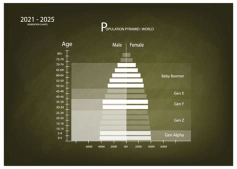 2021 2025 Population Pyramids Graphs With 5 Generation Y Trend Group Png And Vector With