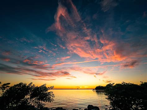 Tampa sunset from earlier this week - Happy Holidays! : r/tampa