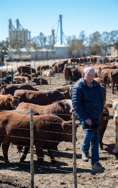 White Farmers Warn Of ‘new Zimbabwe As Calls Grow For Land