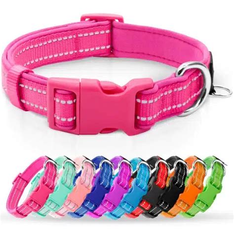 Best Dog Collars For Comfort Durability And Style Alpha Paw