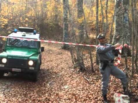 Piaggine Sequestrato Sul Monte Cervati Un Bosco Di Faggio Youtube