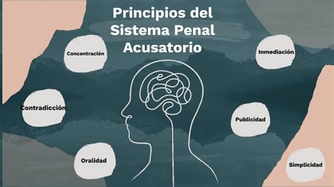 Principios Rectores Del Sistema Acusatorio Penal Mind Map The Best