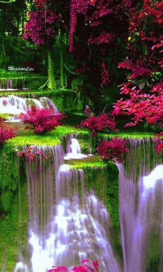 S Animés Plaisir Passion 349 Nature Pictures Colorful Pictures