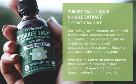 Turkey Tail Mushroom Liquid Extract Mycelium Sona Biotech