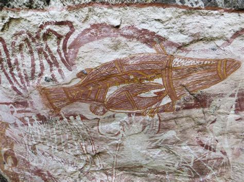 Australian Rock Art Rock Art Reveals Secrets Of AustraliaâS First