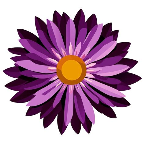 Aster flower isolated on white September birth month flower aster | Premium AI-generated vector