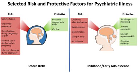 Risk Factors For Serious Mental Illness Not Just “what ” But “when