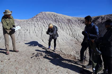 Img9929 Aetosaur Fossil Petrified Forest National Park Flickr