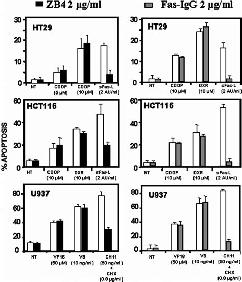 Antagonistic Zb Anti Fas Antibody And Fas Igg Fail To Block Anticancer