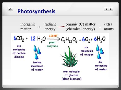 Matter Cycles Energy Flows Ppt Download