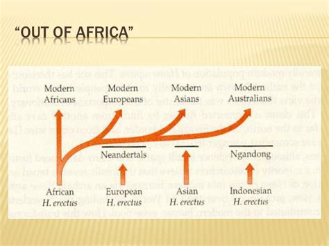 PPT - The “Out of Africa” Theory PowerPoint Presentation, free download ...