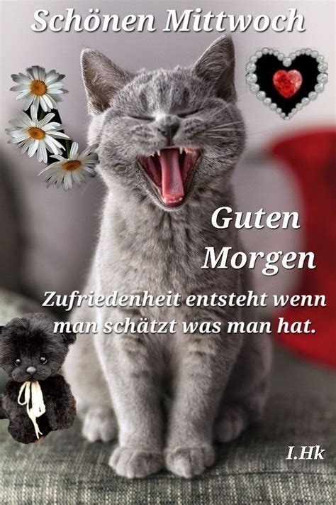 Pin Von Christina Auf Morgen In 2023 Guten Morgen Katze Guten Morgen