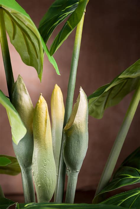 Alocasia Pianta Artificiale H 125 Cm Arte Fiore