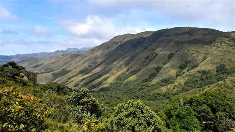 Tamil Nadu Adds 24 Reserve Forests In Last Two Years The Hindu