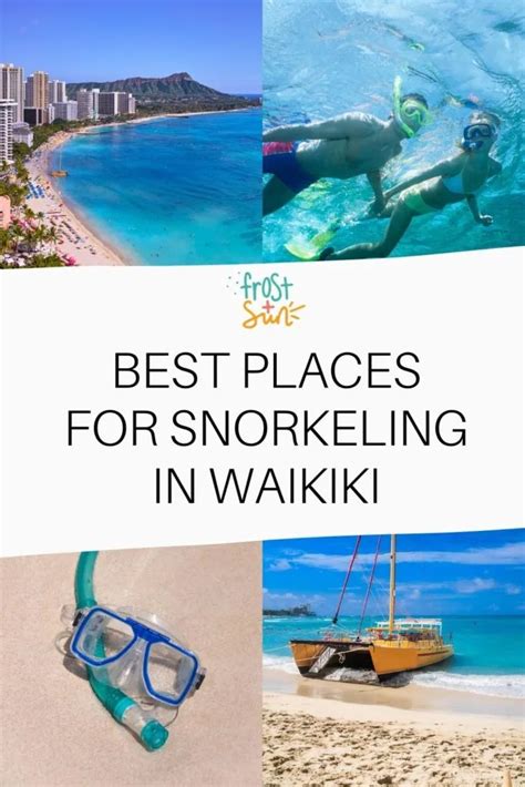 Snorkeling in Waikiki: Best Spots & Tours (Updated 2025)