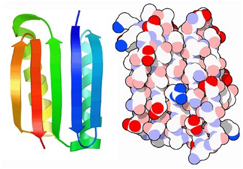 PDB 101 Molecule Of The Month Designer Proteins