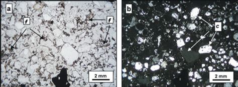 Typical Micromorphological Features In The Soil Developed From The