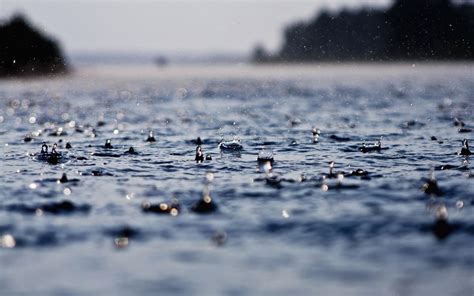 Raindrops Hd Wallpapers Wallpaper Cave