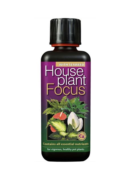 House Plant Focus Liquid Nutrient With Seaweed Ml Bottle