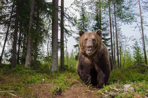 Weekly Photography Assignment: Animals in Habitats - Nature TTL