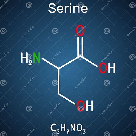 Serine Ser Amino Acid Molecule It Is Used In The Biosynthesis Of Protein Stock Vector