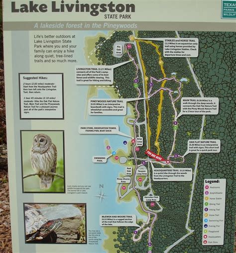 Lake Livingston State Park Map