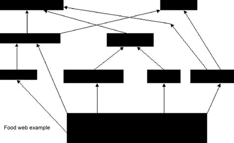 Blank Food Web Template (1) - TEMPLATES EXAMPLE | TEMPLATES EXAMPLE