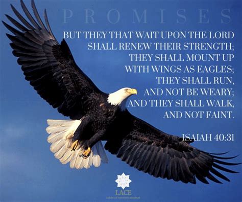 Isaiah 40:31 (KJV)