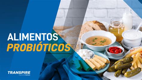 Alimentos Probióticos Transpire O Blog Da Treinus