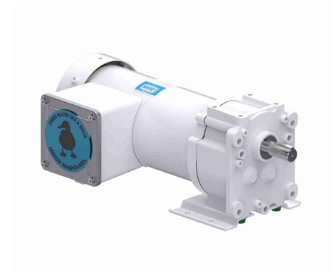 Leeson Electric Leeson Gear Motors Electric Motor Warehouse