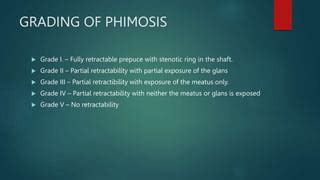 Phimosis And Paraphimosis Surgery Presentation Pptx