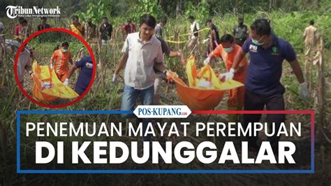 Mayat Perempuan Setengah Telanjang Ditemukan Di Kedunggalar Ngawi