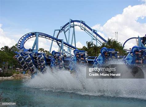 Manta (Seaworld Orlando) Photos and Premium High Res Pictures - Getty ...