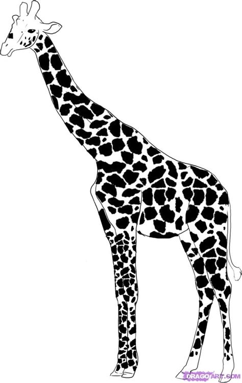 Giraffe Line Drawing