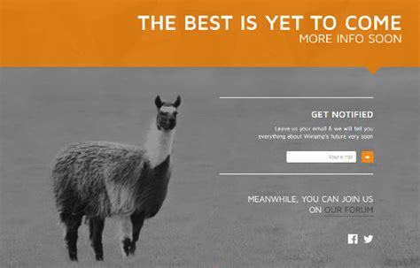 It Really Whips The Llama S Ass