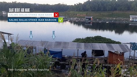 Benar Apa Yang Dikatakan Orang Umpan Ini Bisa Diandalkan Mancing