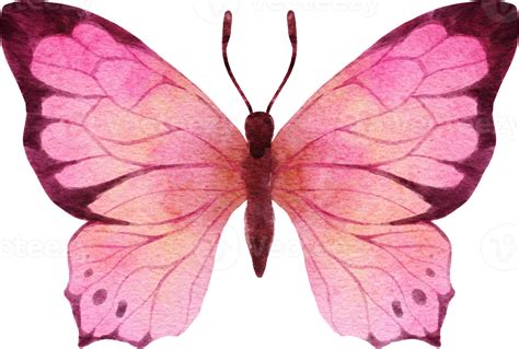 Compartilhar 120 Imagem Borboleta Rosa Aquarela Vn