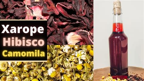 Aprender Sobre Imagem Como Fazer Xarope De Hibisco Para Drinks Br