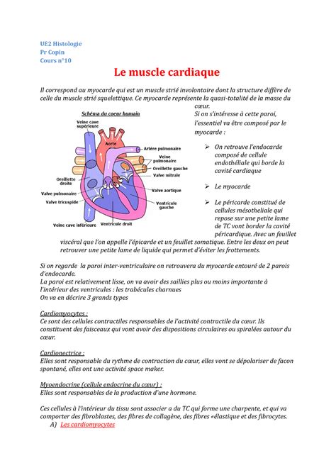 Le Muscle Cardiaque Ue Histologie Pr Copin Cours N Le Muscle