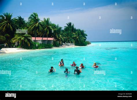 diving school at holiday resort island of villivaru maldives Stock ...