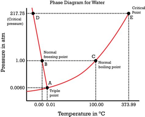 Phase Diagram Of T Butanol Schematic Ternary Phase Diagram O