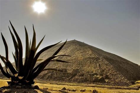 Tour To The Pyramids Of Teotihuac N And Basilica Of Guadalupe Walk A