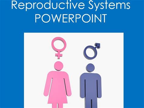 The Reproductive Systems Anatomy And Physiology POWER POINT