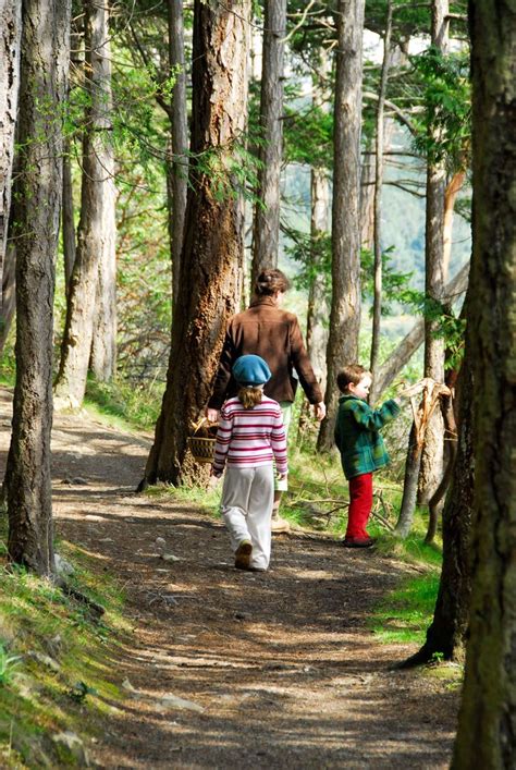 Aprovecha Los Beneficios De Pasar Tiempo En La Naturaleza